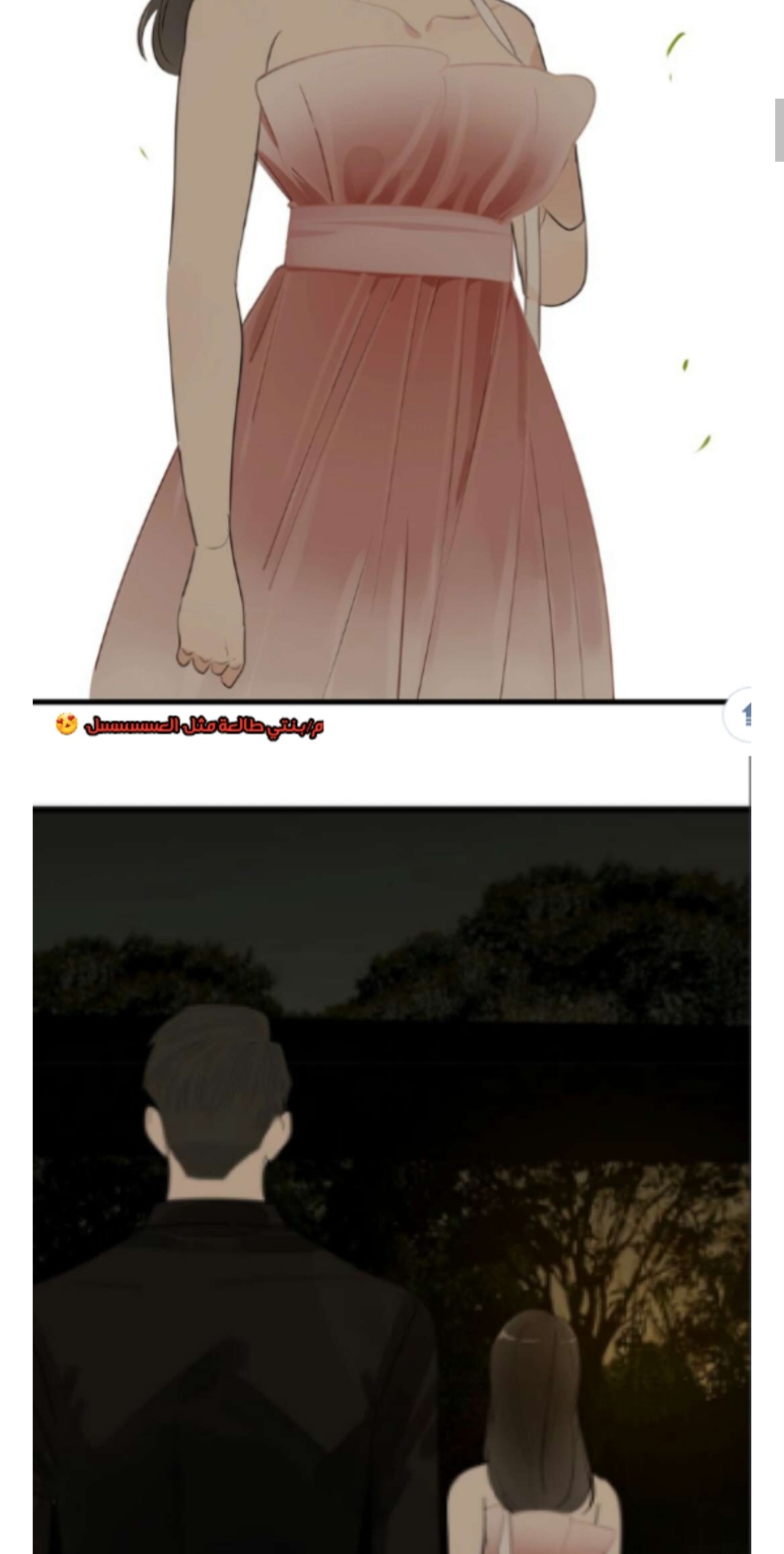 الصفحة 19