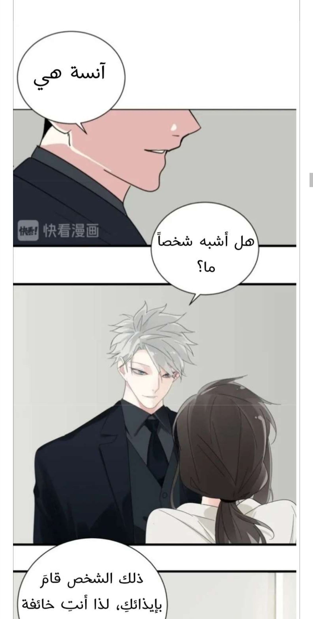 الصفحة 13