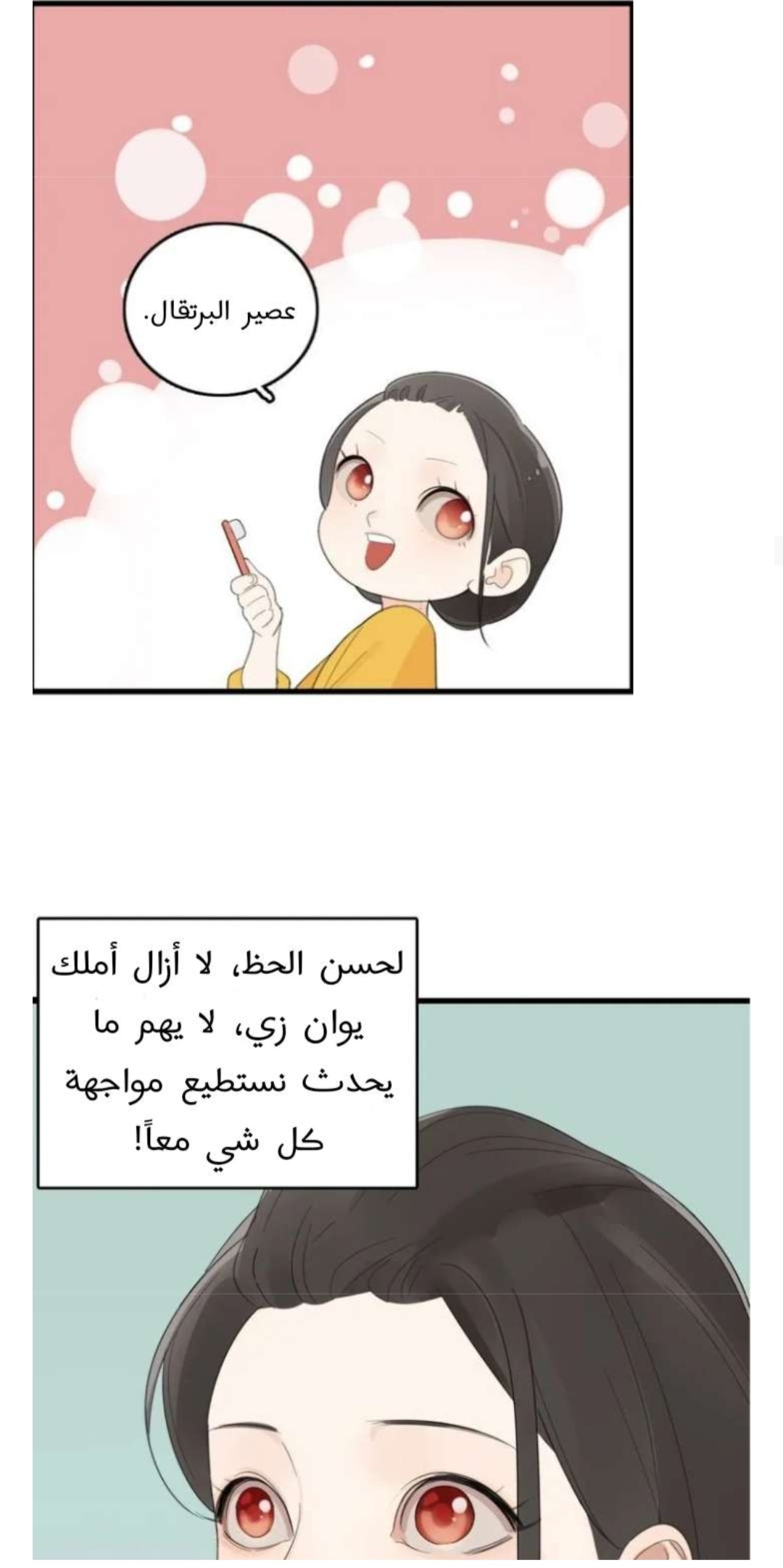 الصفحة 19