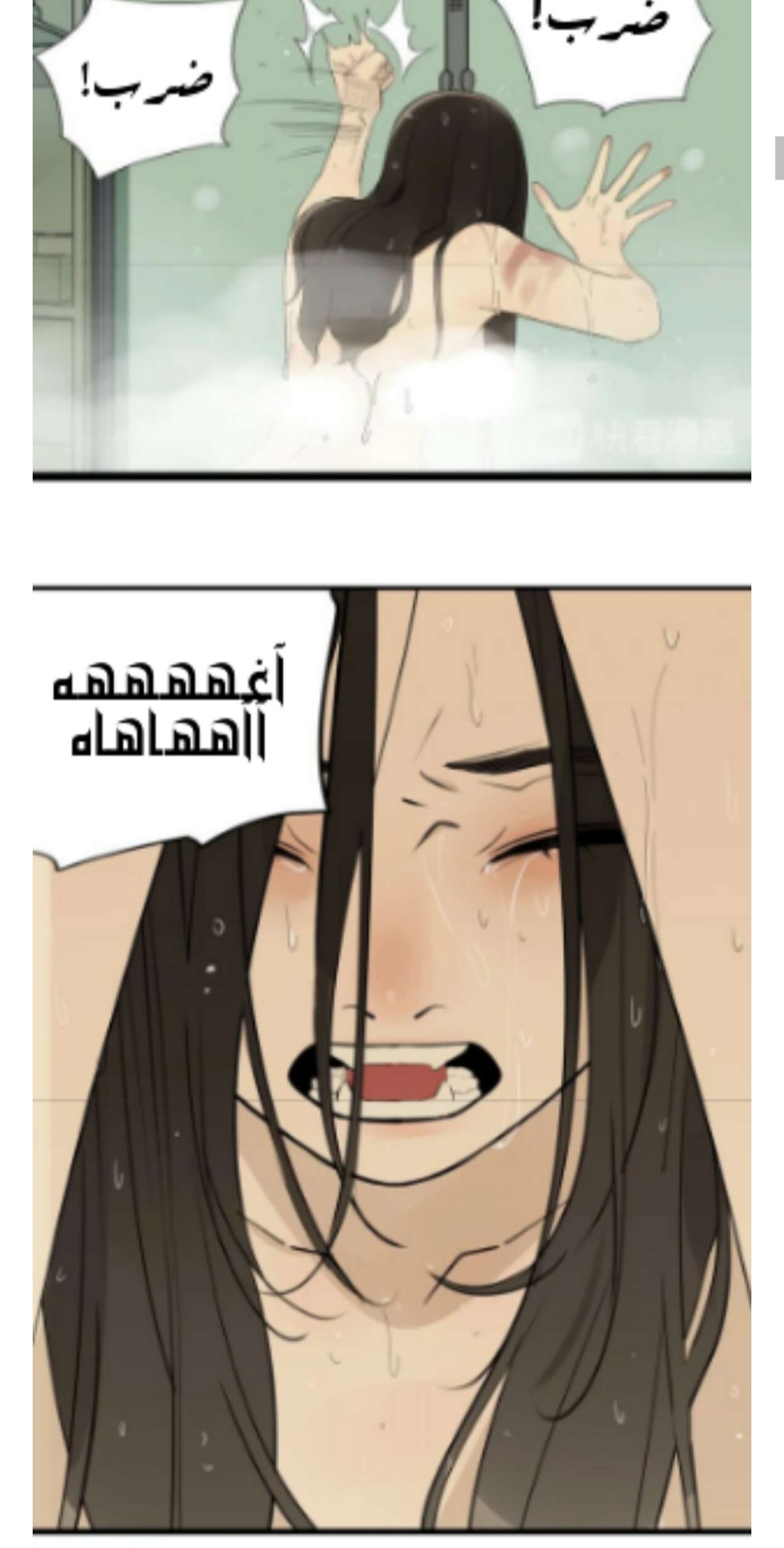 الصفحة 3