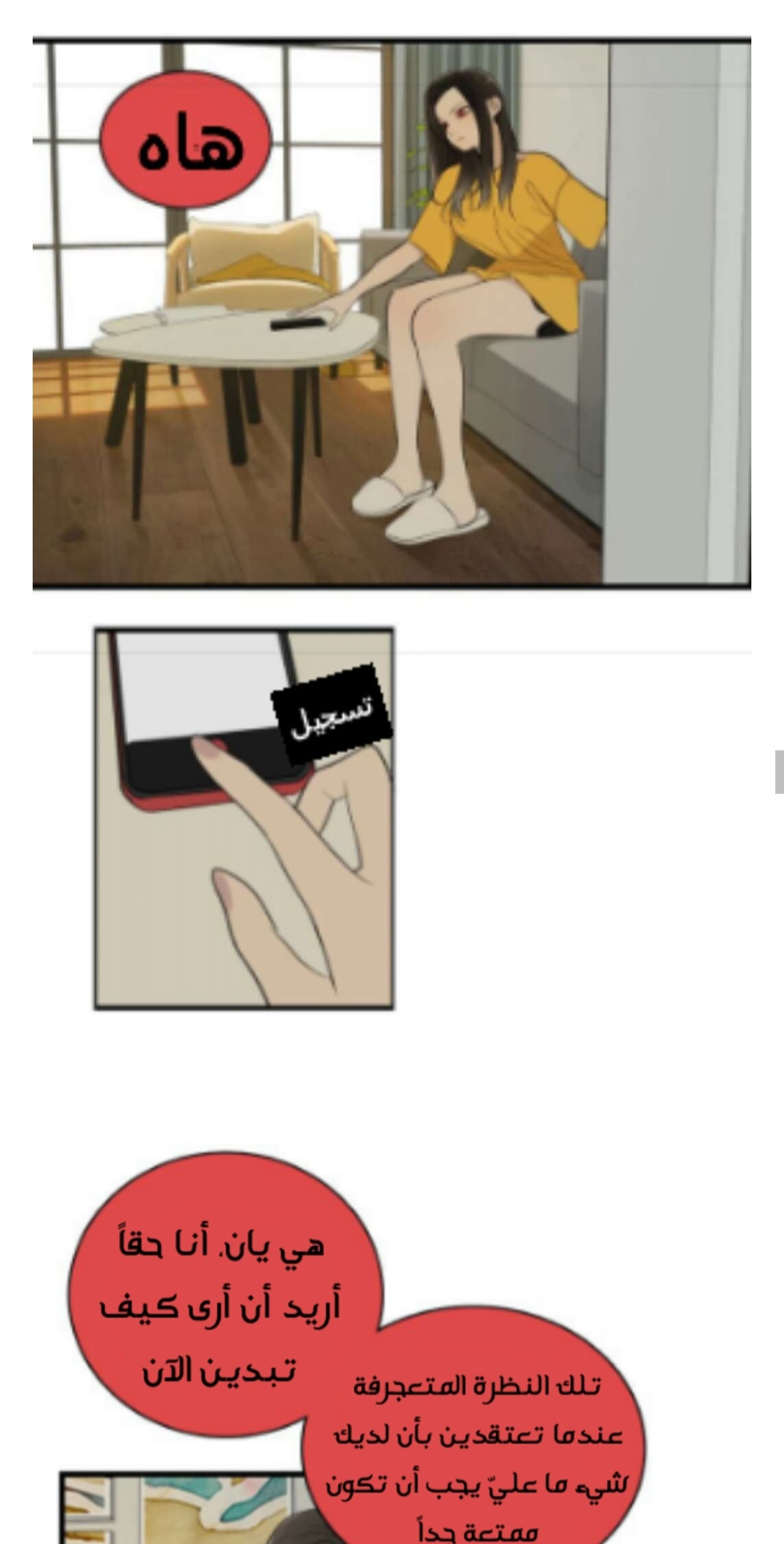 الصفحة 17