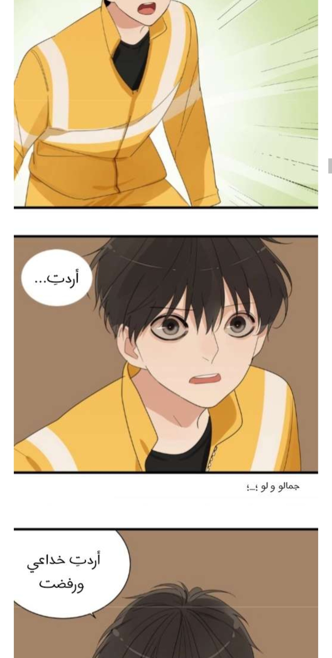 الصفحة 11