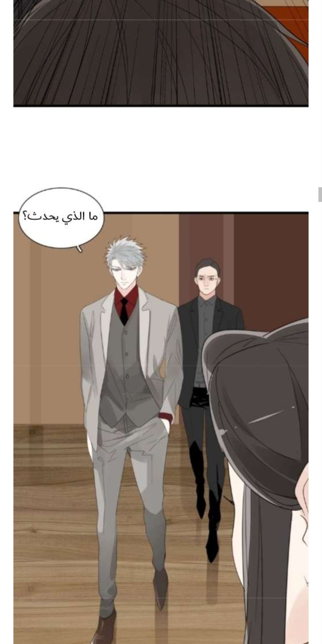 الصفحة 13