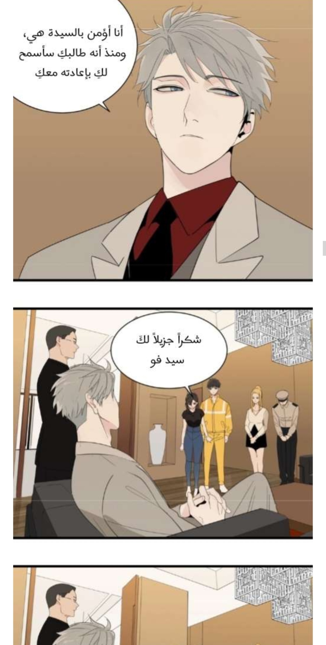 الصفحة 17