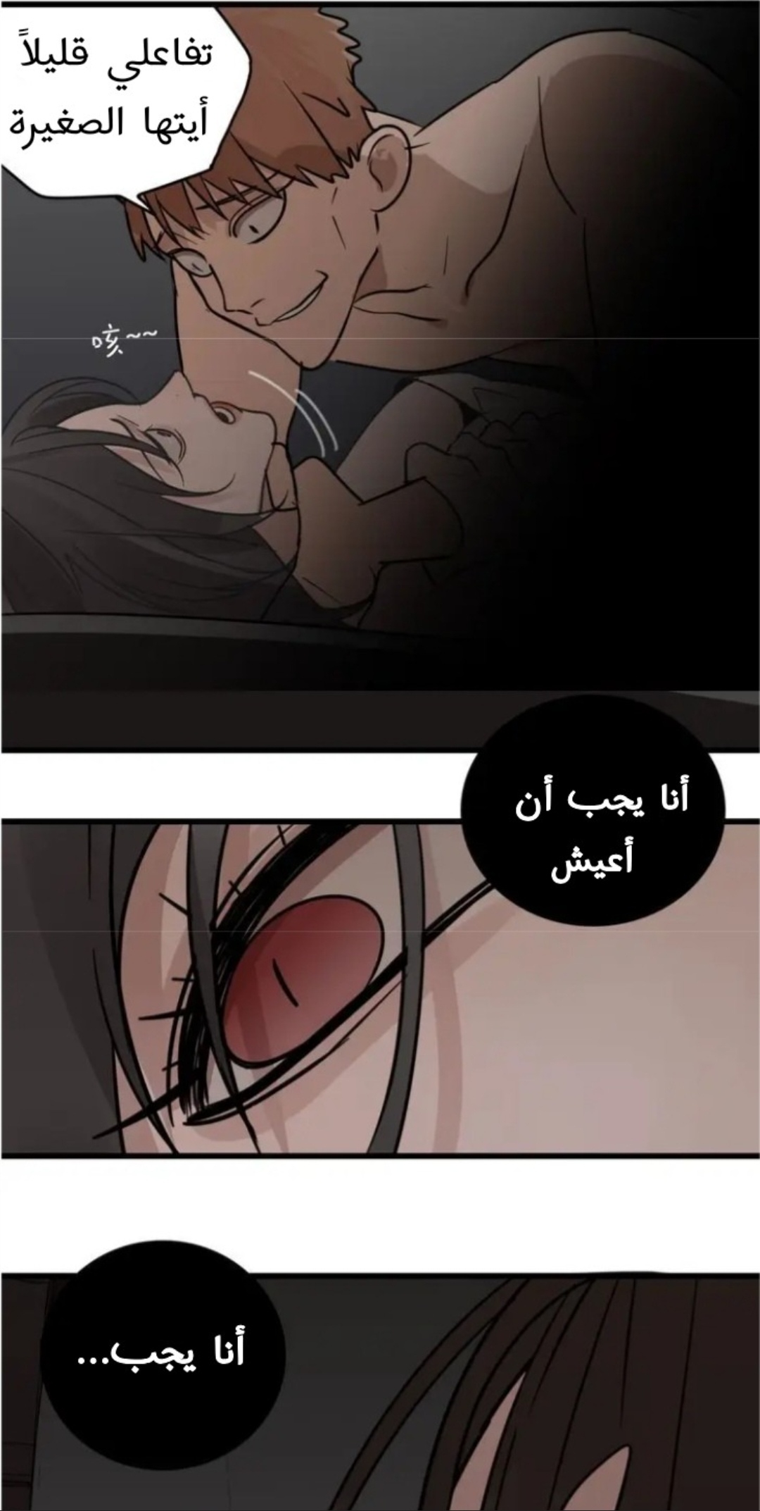 الصفحة 17
