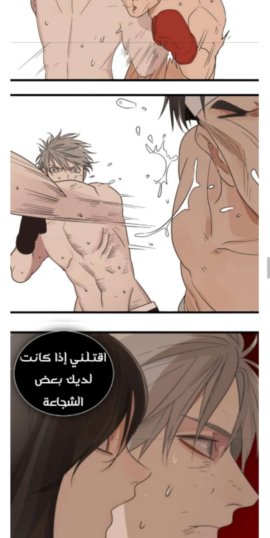 الصفحة 11