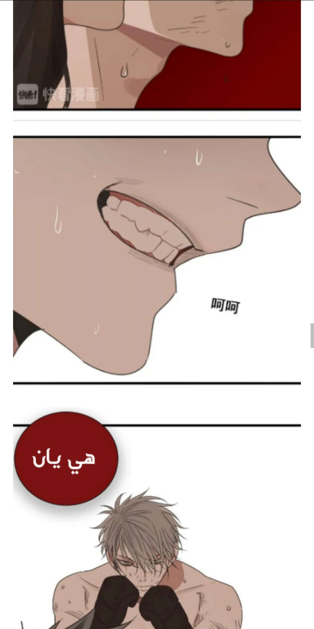 الصفحة 12
