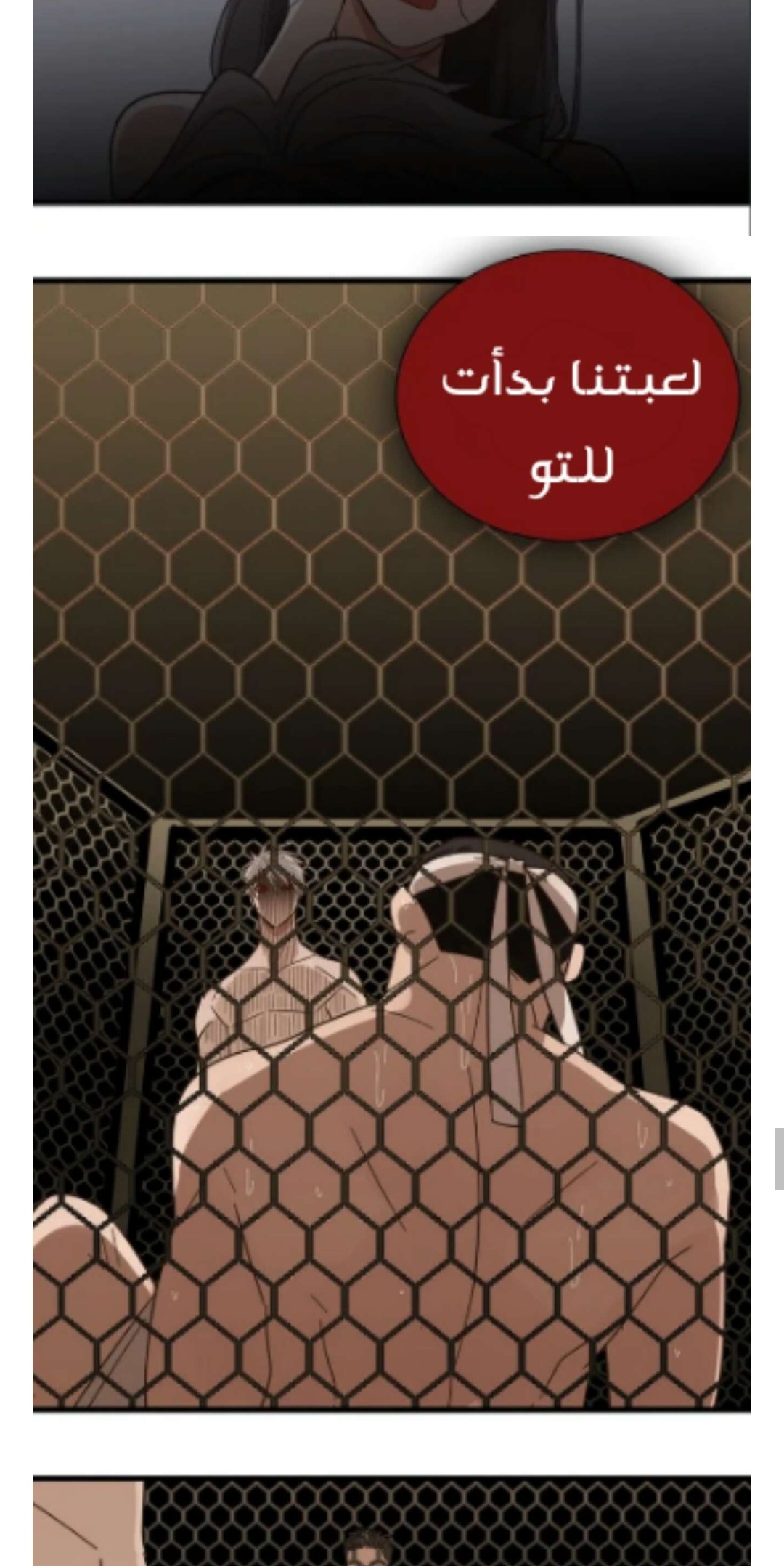 الصفحة 17