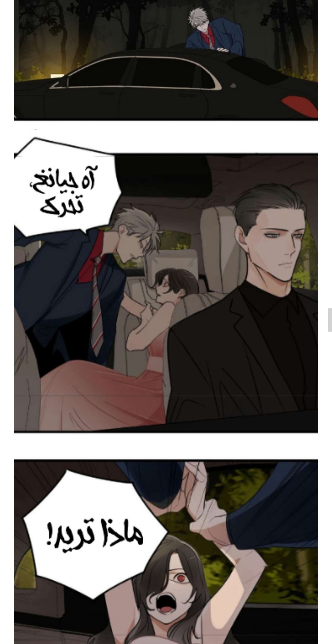 الصفحة 13