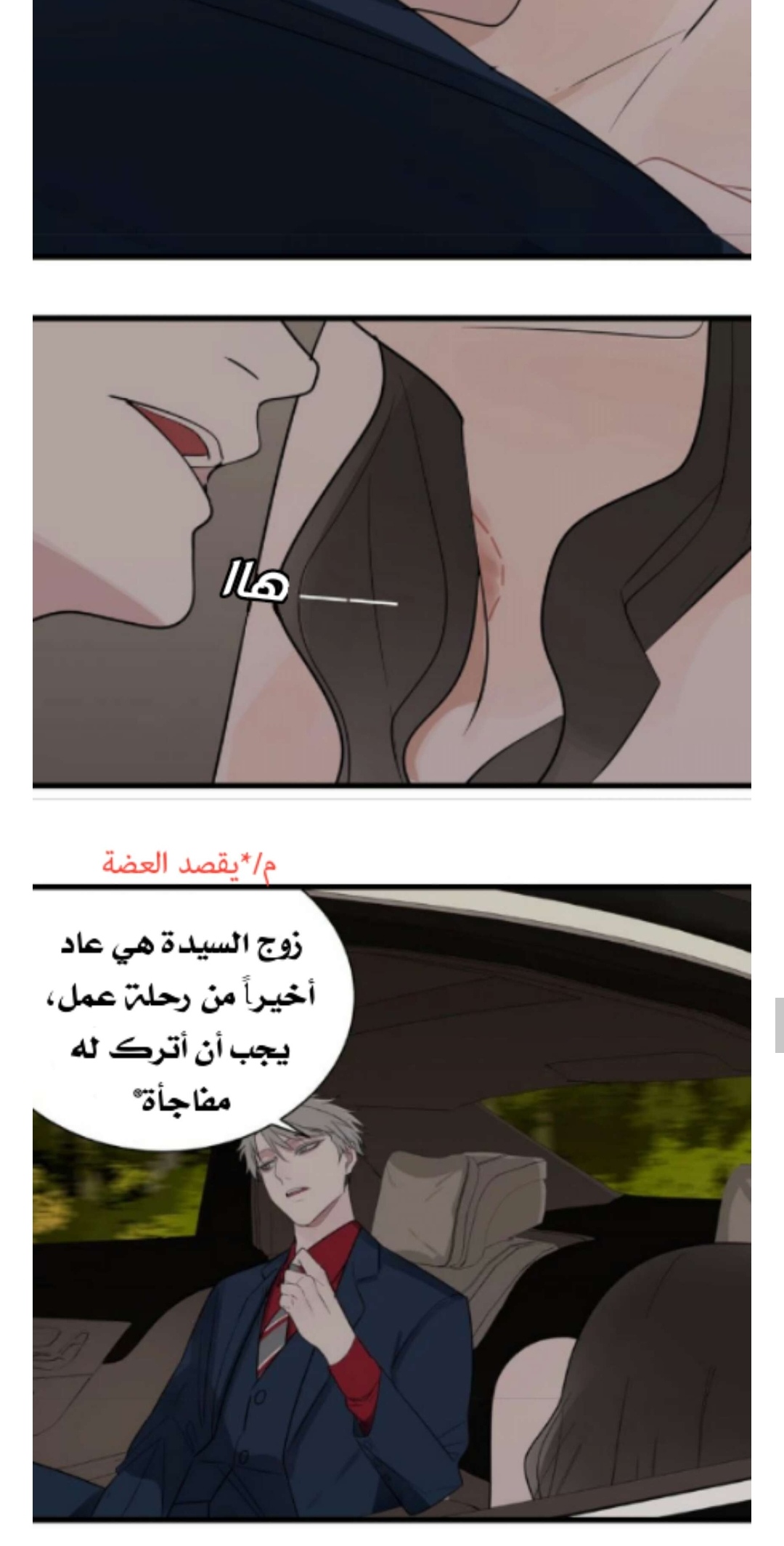 الصفحة 17