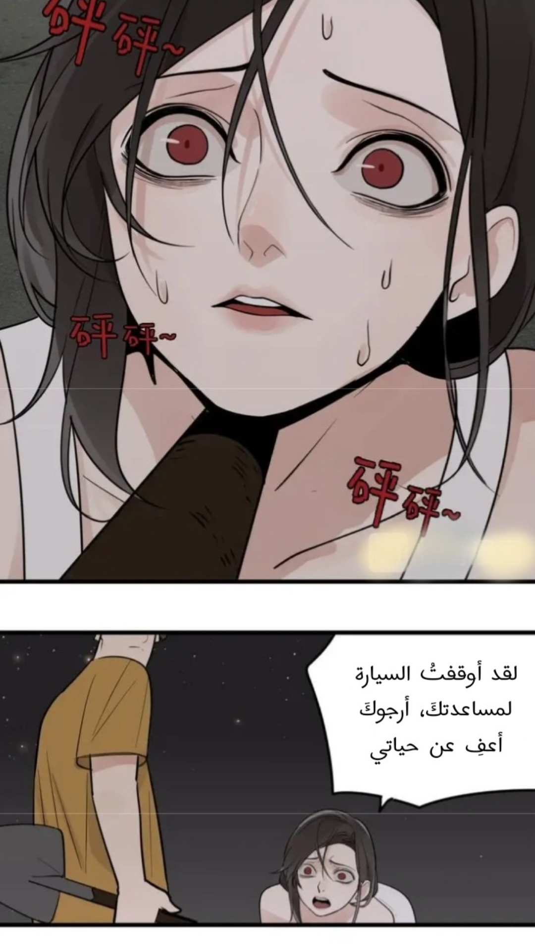 الصفحة 19