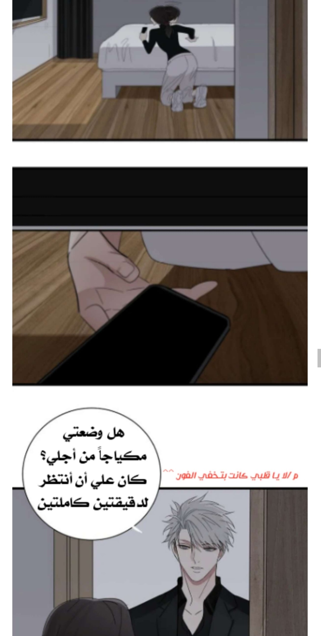 الصفحة 19