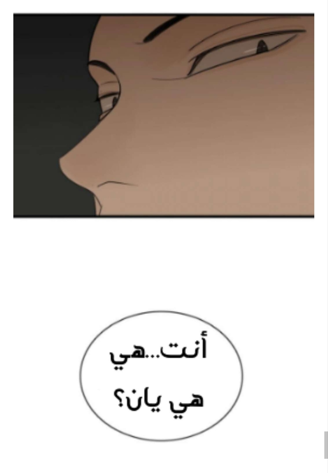 الصفحة 20