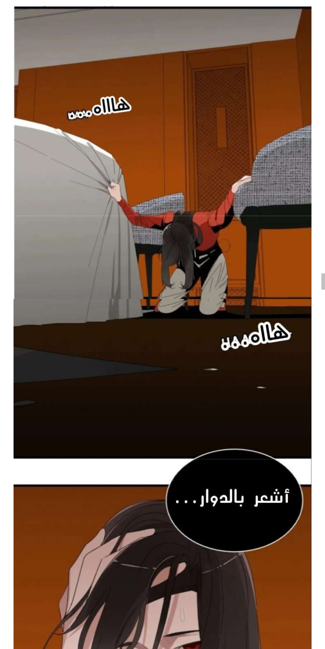 الصفحة 17