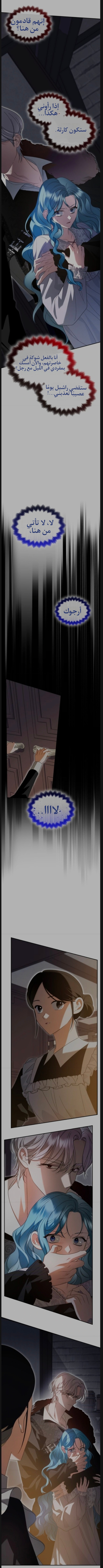 الصفحة 17