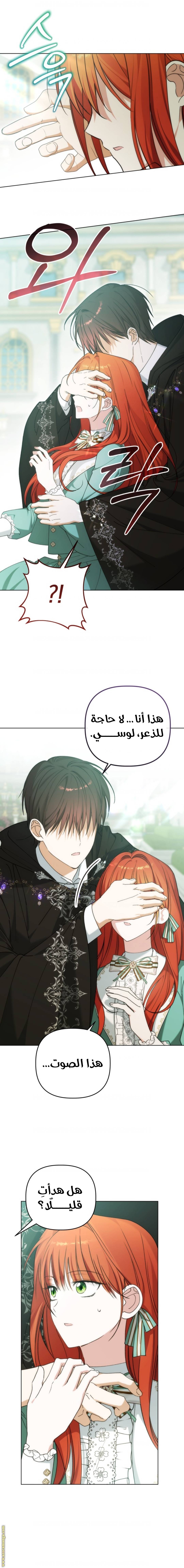 الصفحة 13