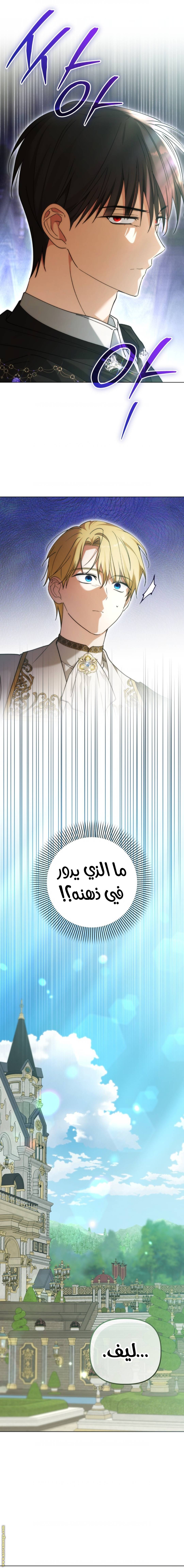 الصفحة 16