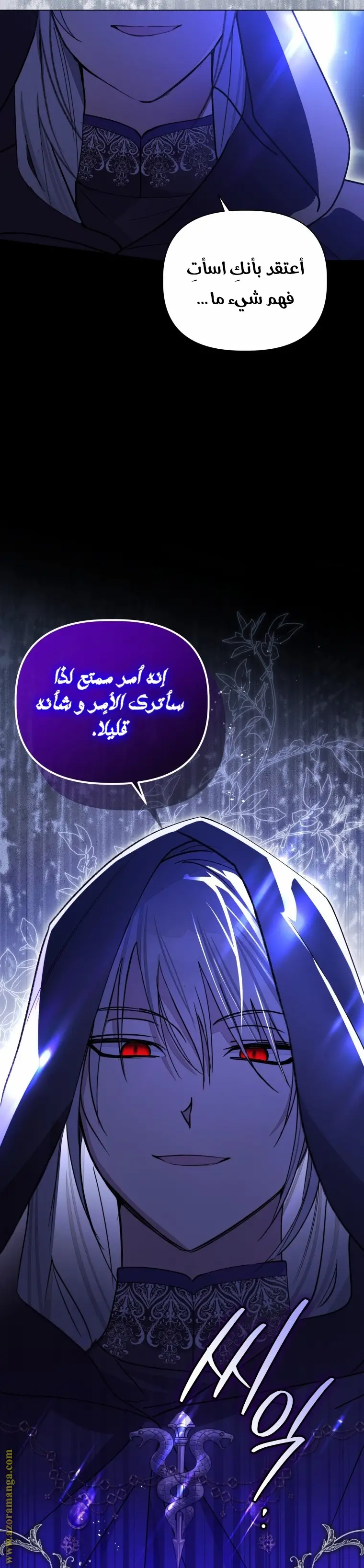 الصفحة 21