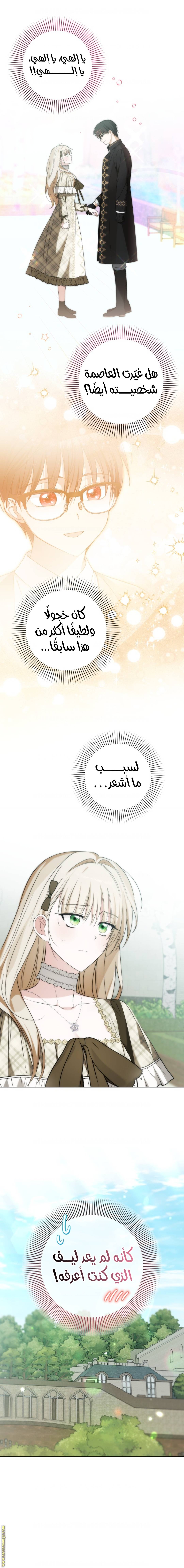 الصفحة 13