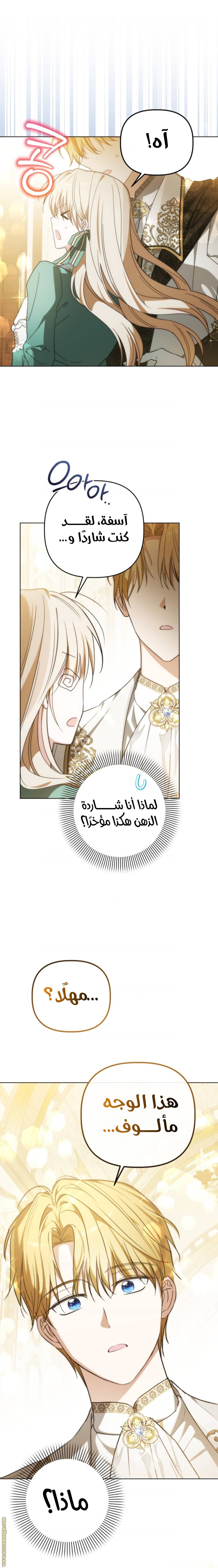 الصفحة 17