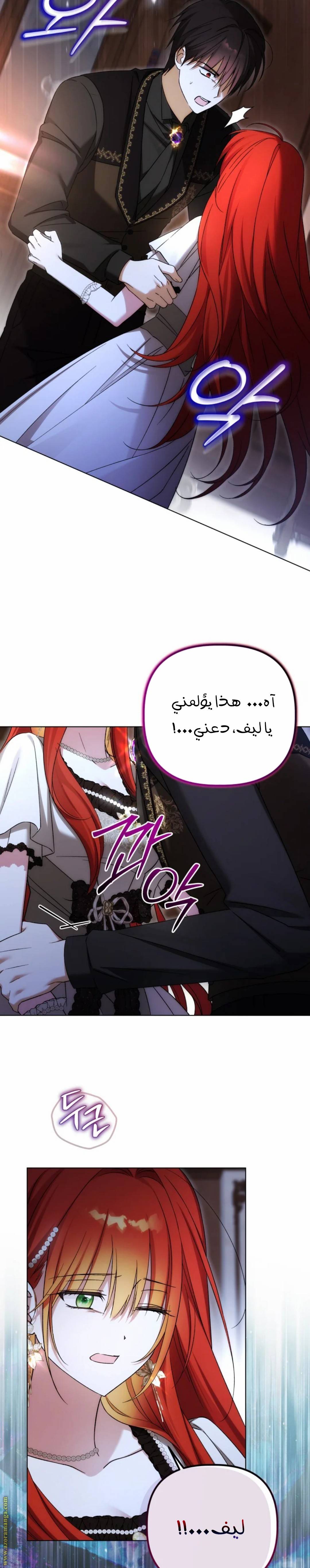 الصفحة 5