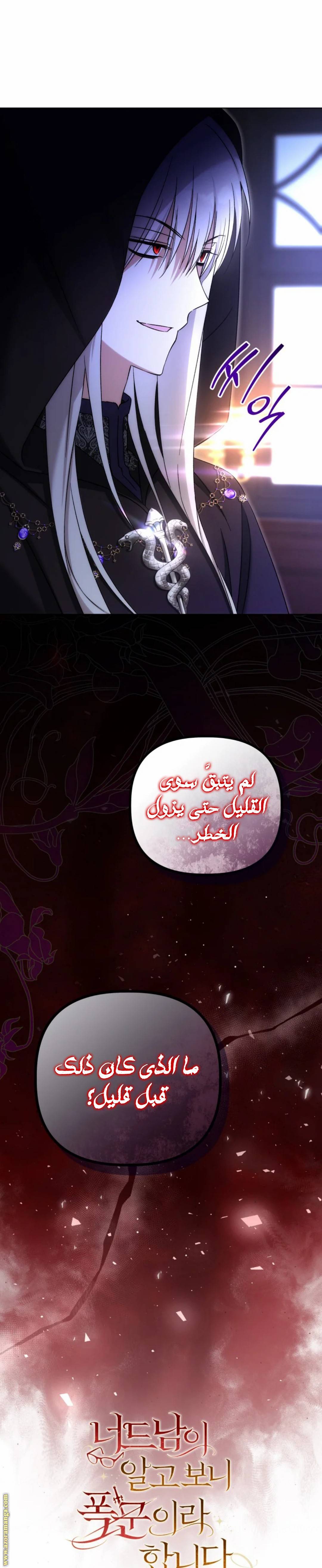 الصفحة 17