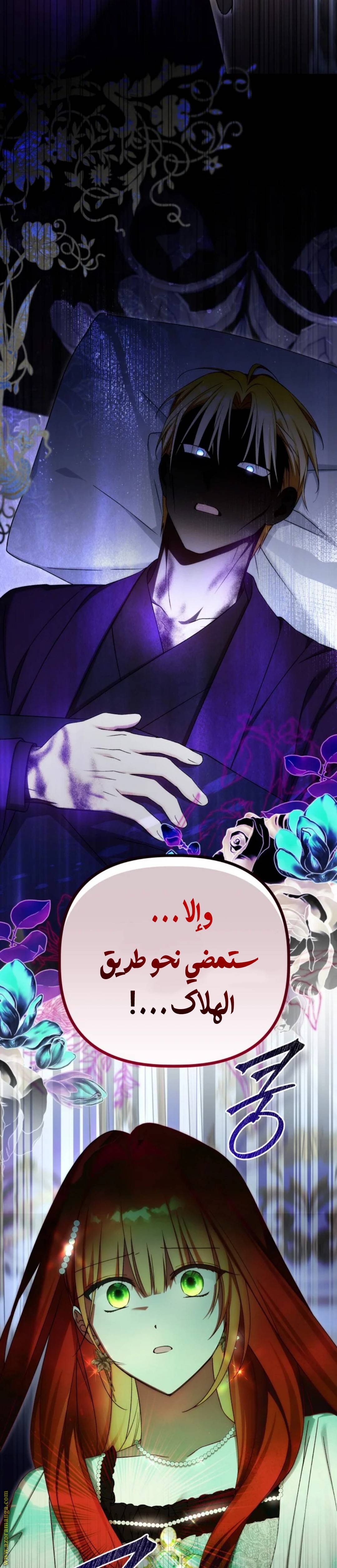 الصفحة 29
