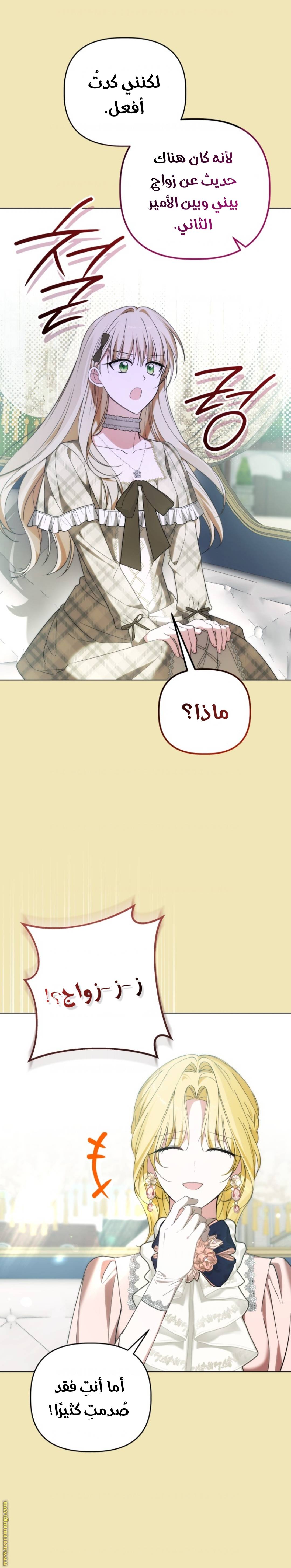 الصفحة 4