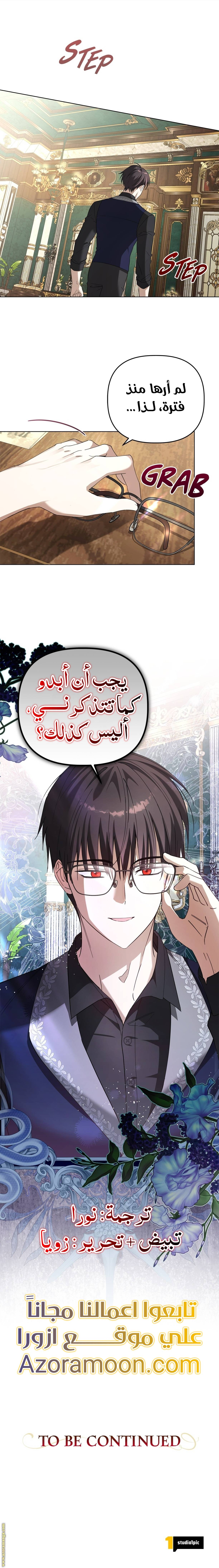 الصفحة 13