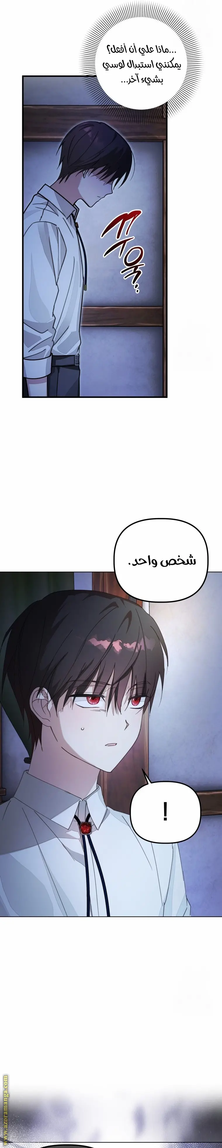 الصفحة 12