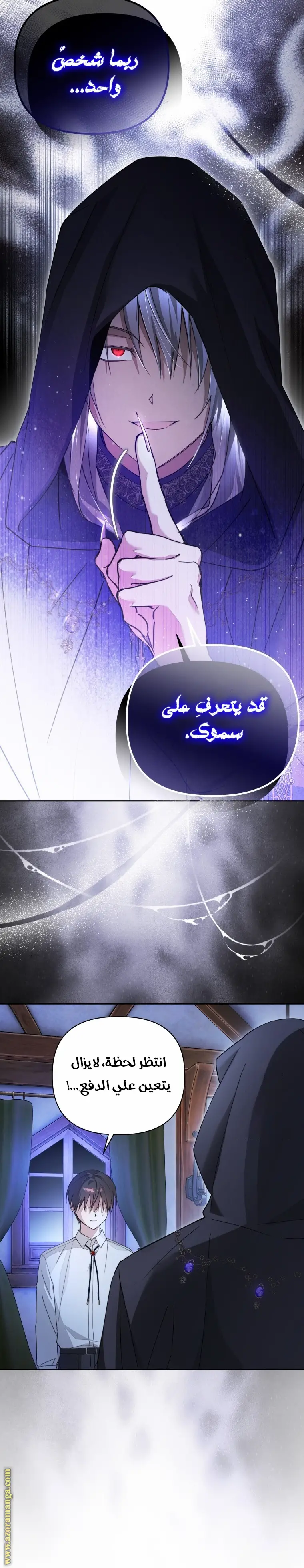 الصفحة 13