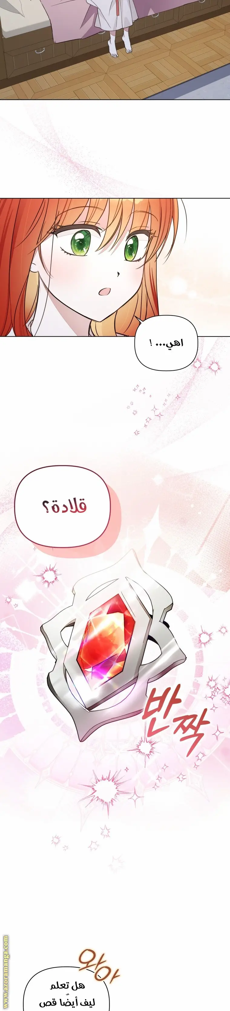 الصفحة 13