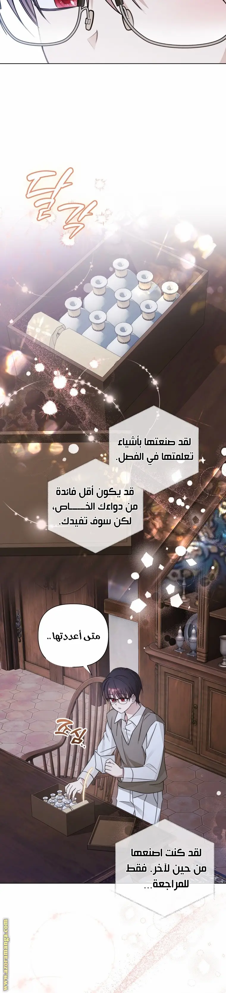 الصفحة 17