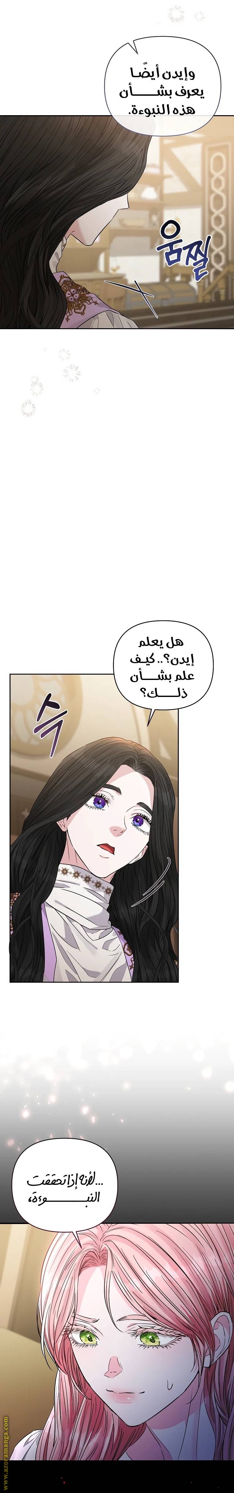 الصفحة 25