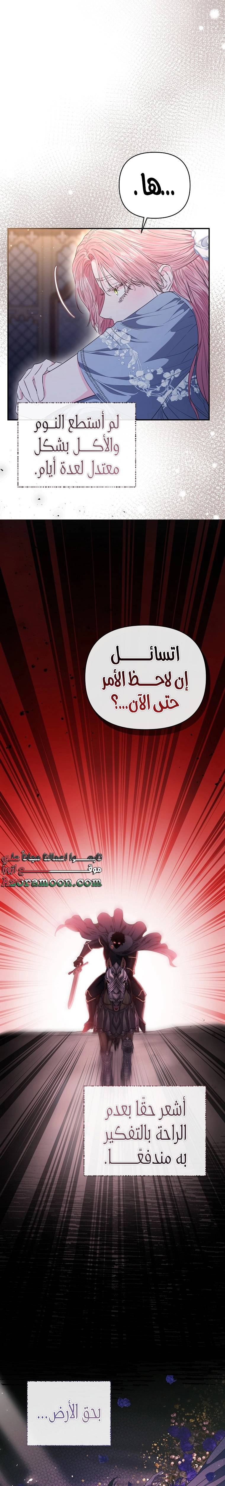 الصفحة 20