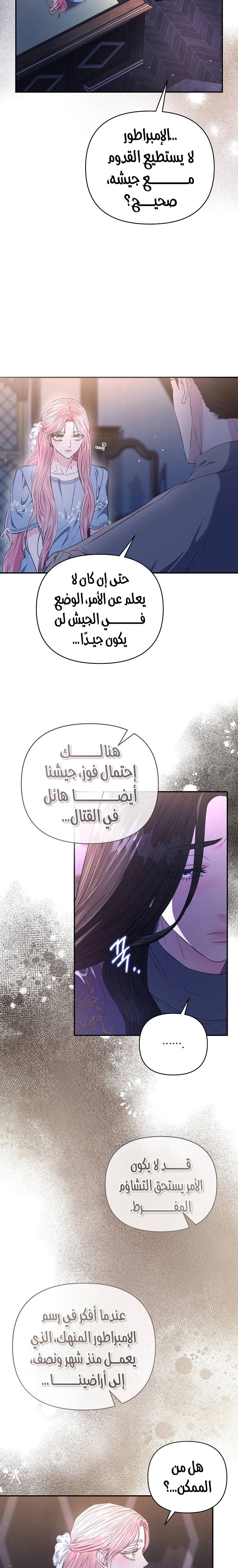 الصفحة 26