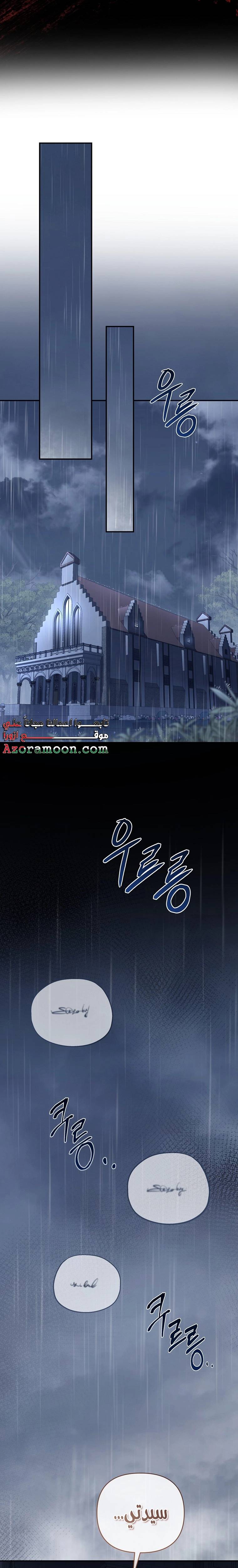 الصفحة 31