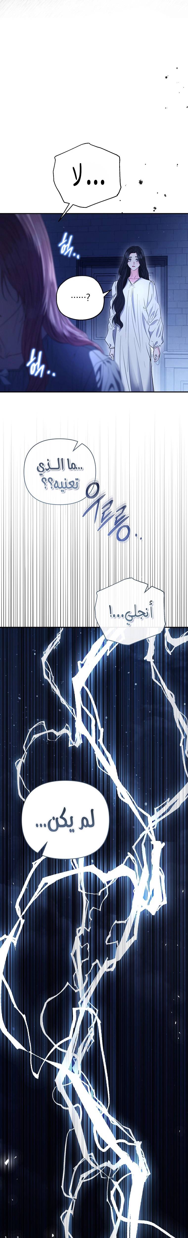 الصفحة 39