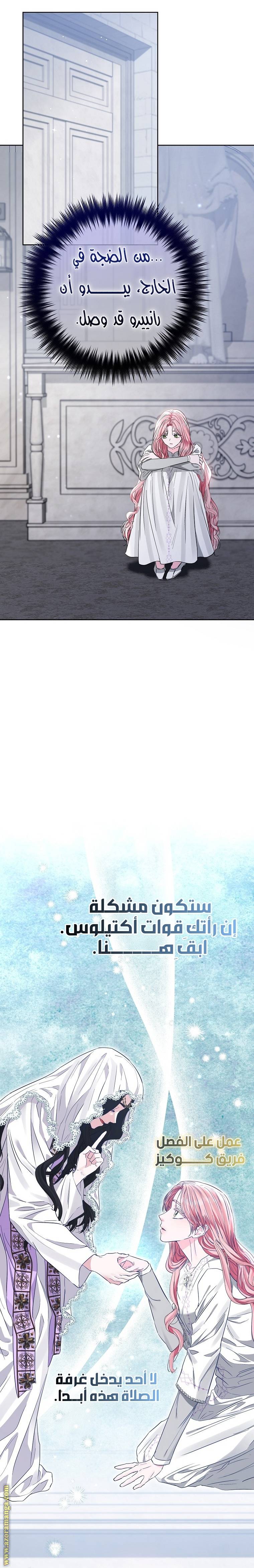 الصفحة 19