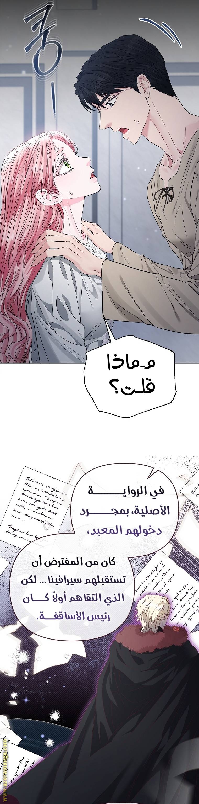 الصفحة 27