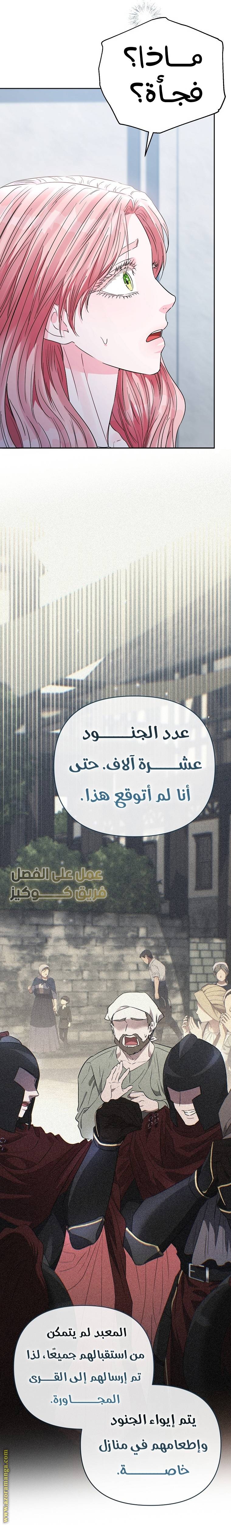 الصفحة 29