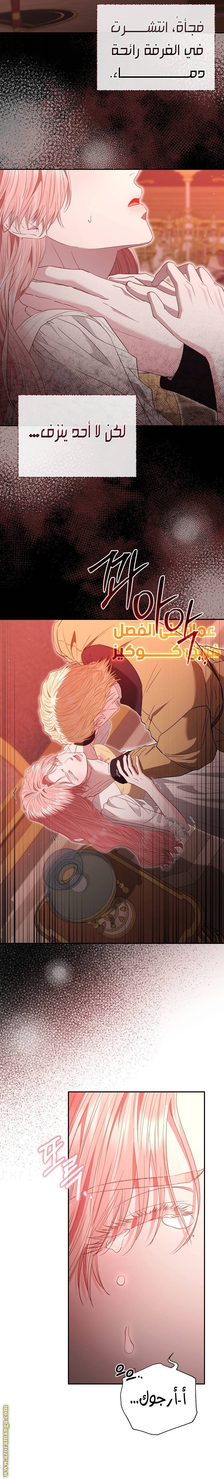 الصفحة 16