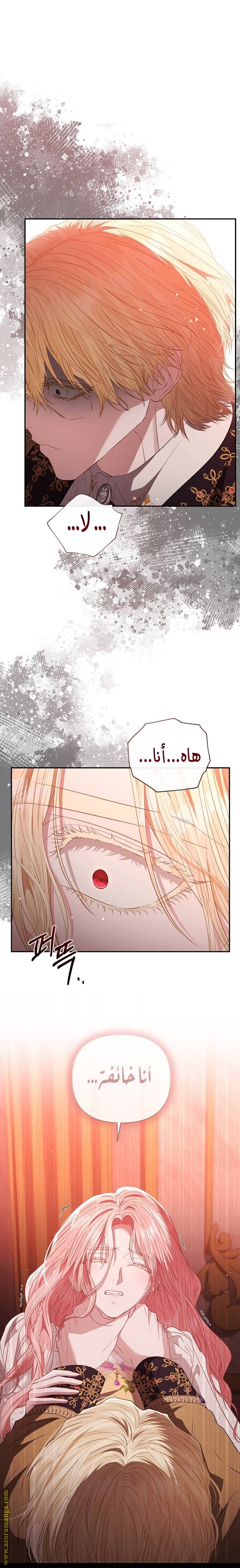 الصفحة 17