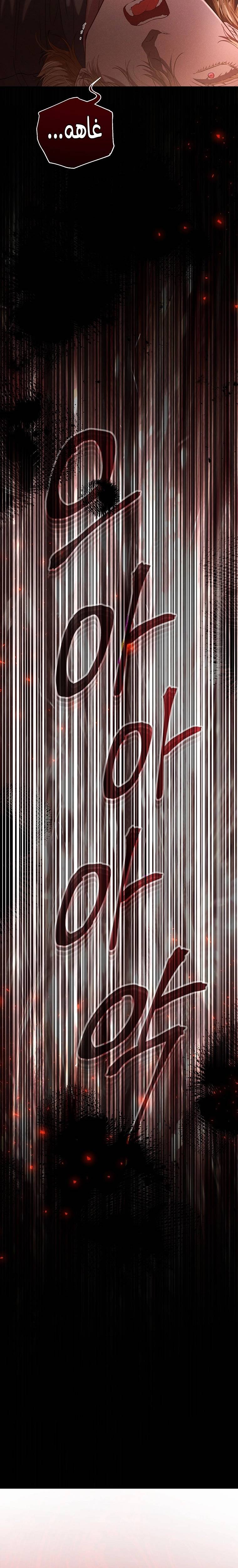الصفحة 26