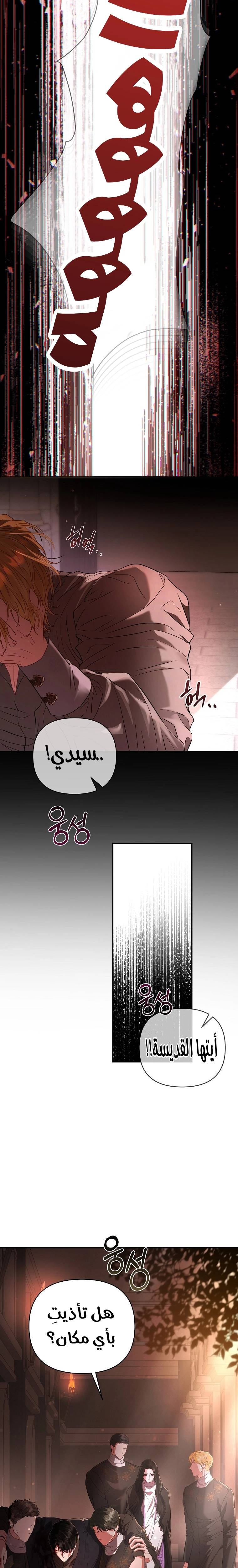الصفحة 28