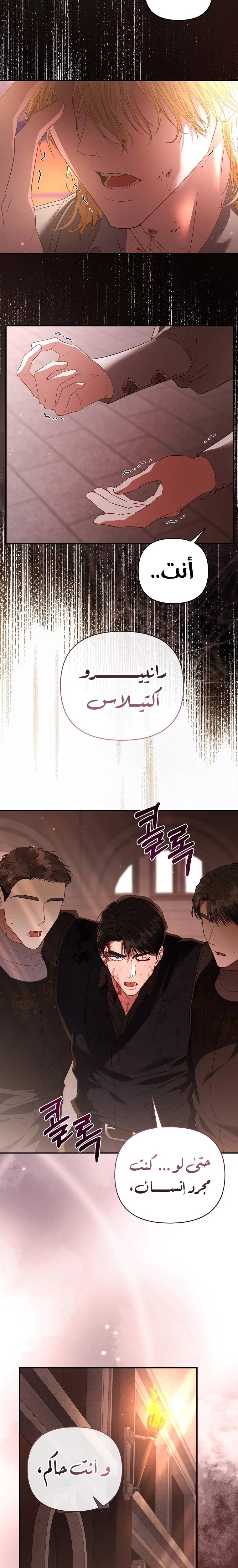 الصفحة 31