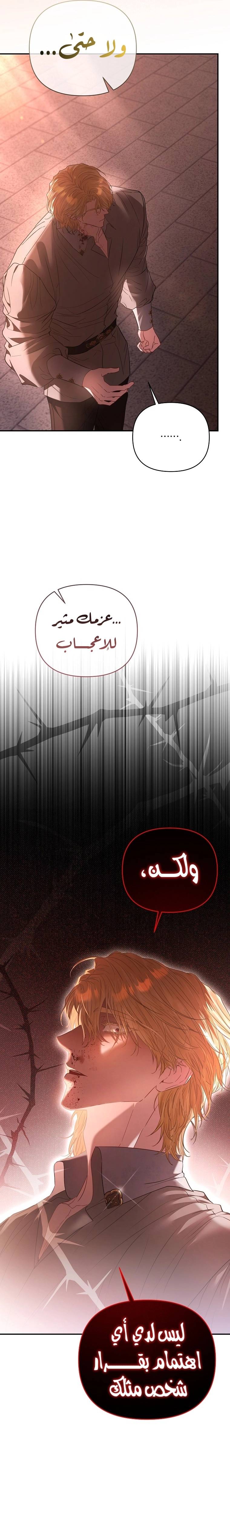 الصفحة 33