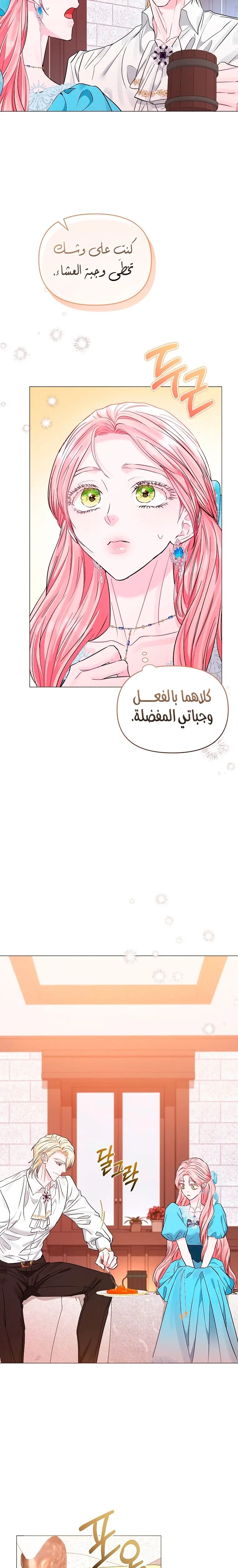 الصفحة 23
