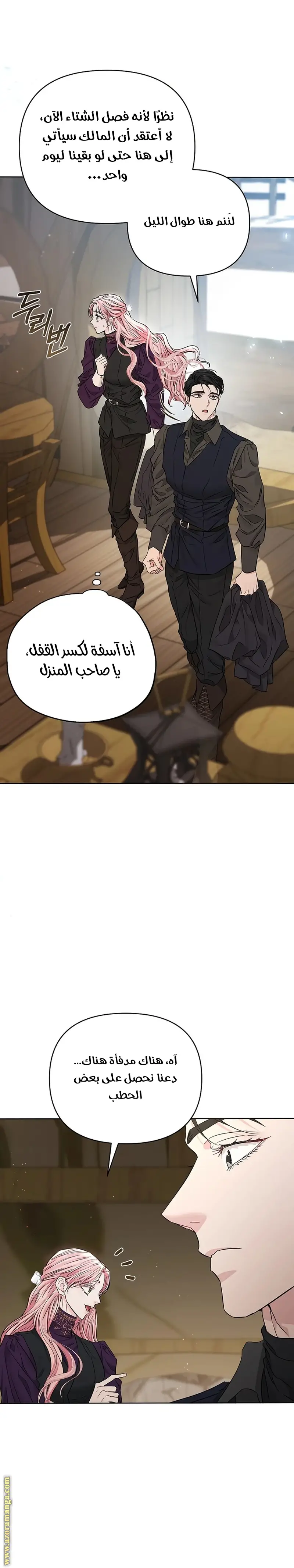 الصفحة 17