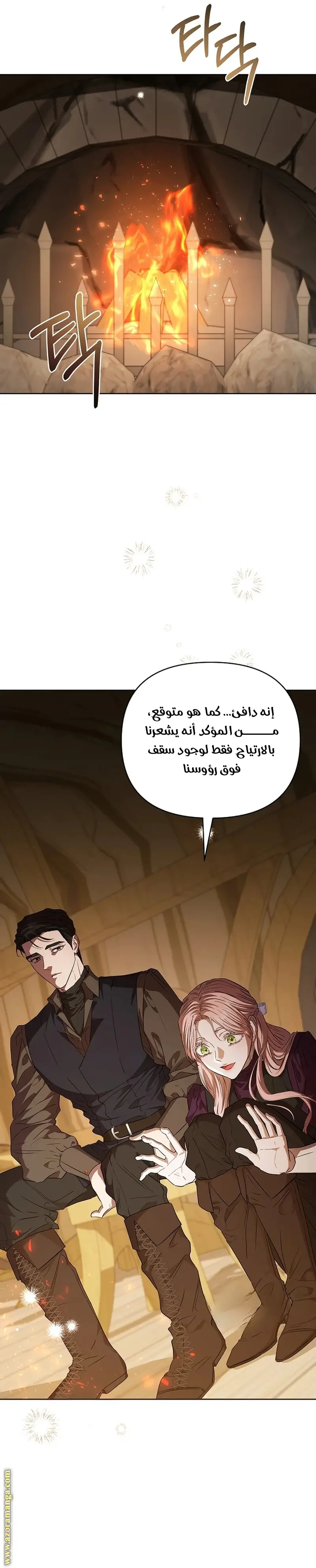 الصفحة 19